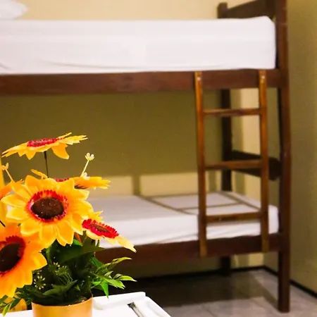 Hotel Dom Manuel - Ce 2*